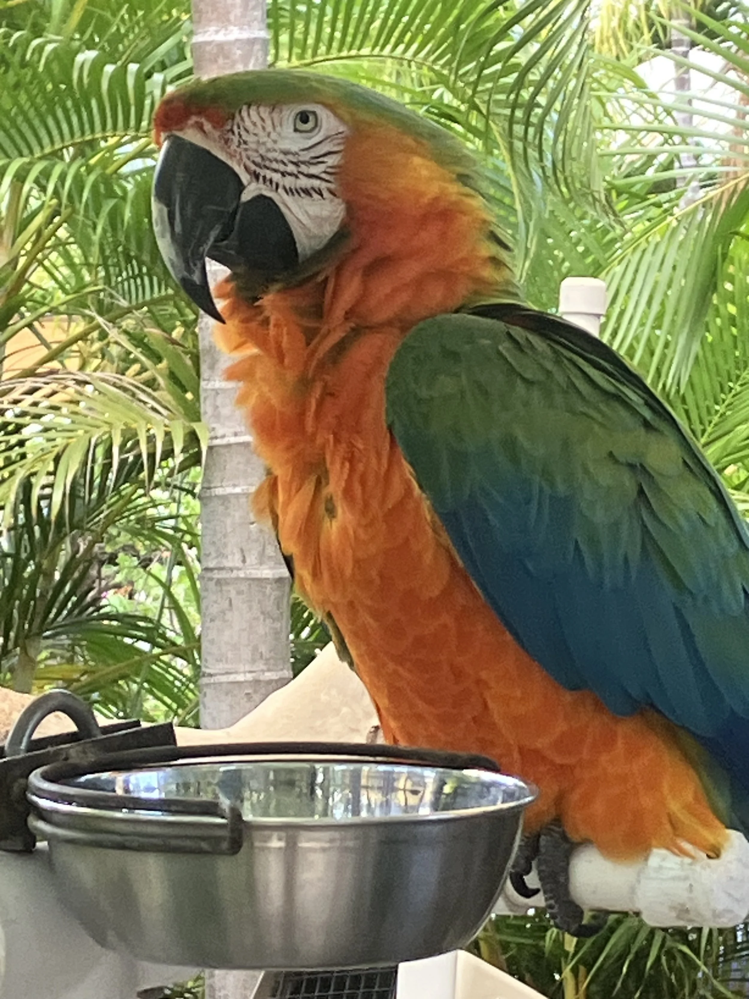 IMG_7392.jpg