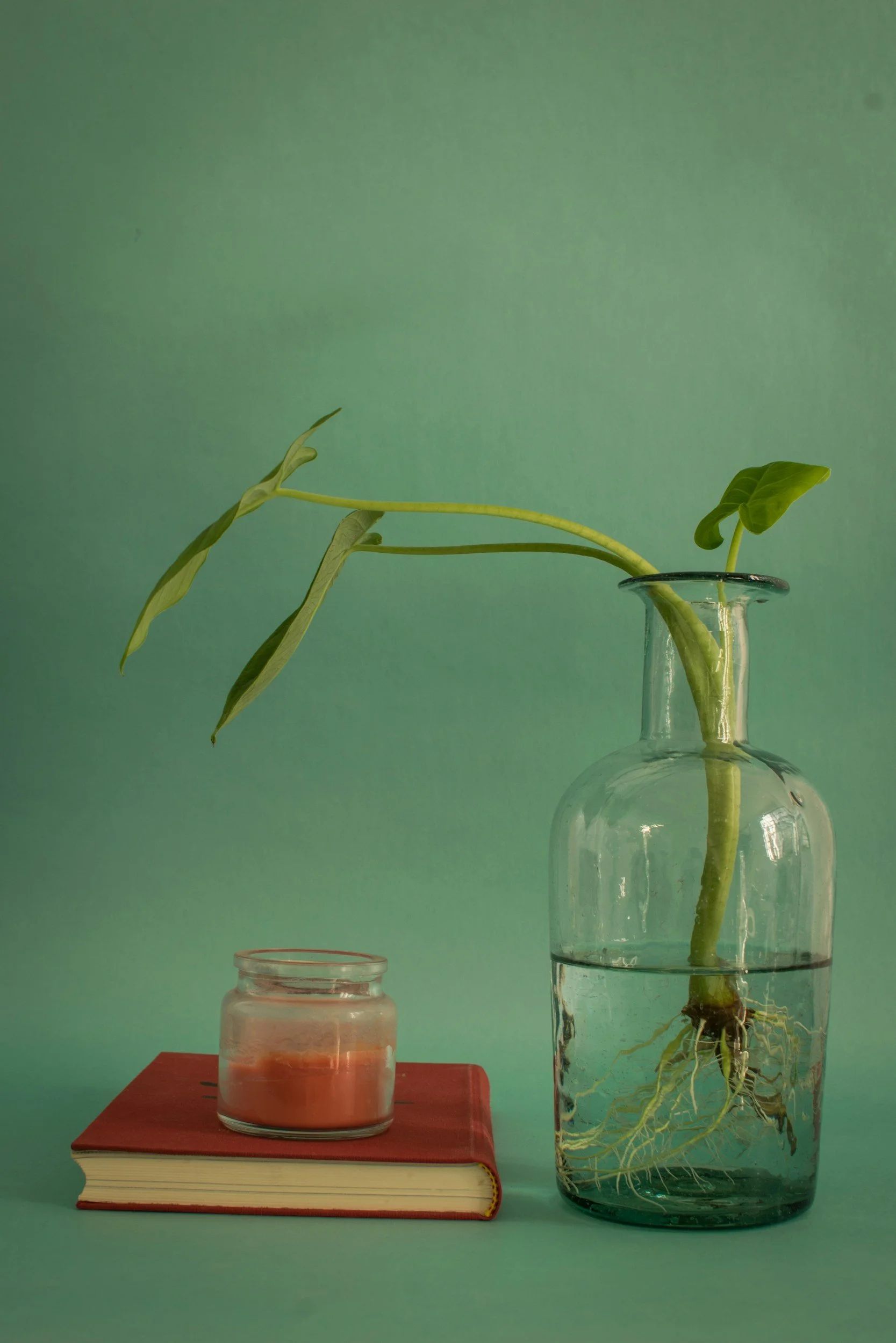 A glass jar filled with water, a small candle on a red book, a red book, a green plant in a glass vase with roots visible, and a small glass container in the background against a green wall.