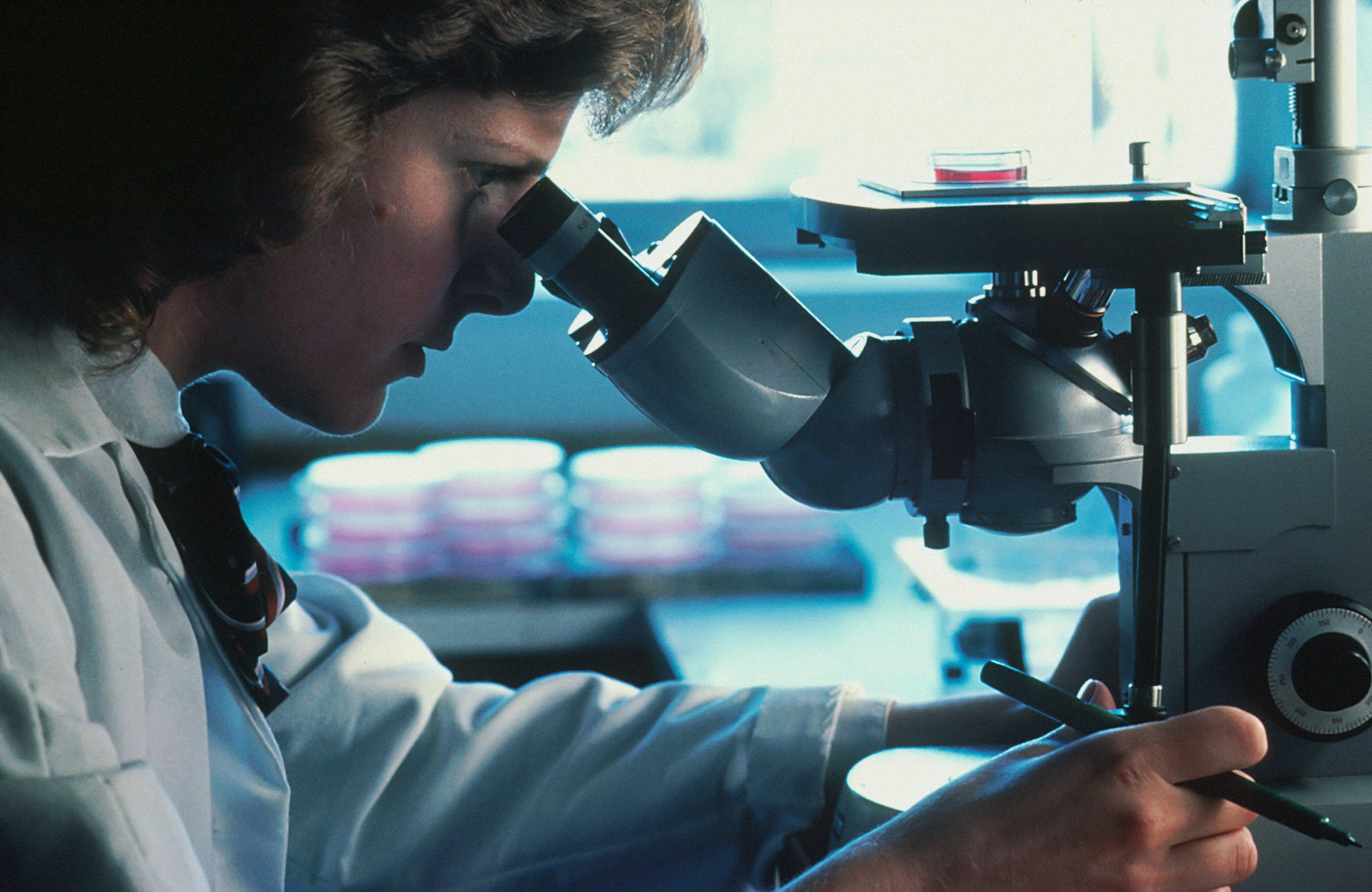 What is Wharton's Jelly MSC Therapy — and How is it Different From PRP?
