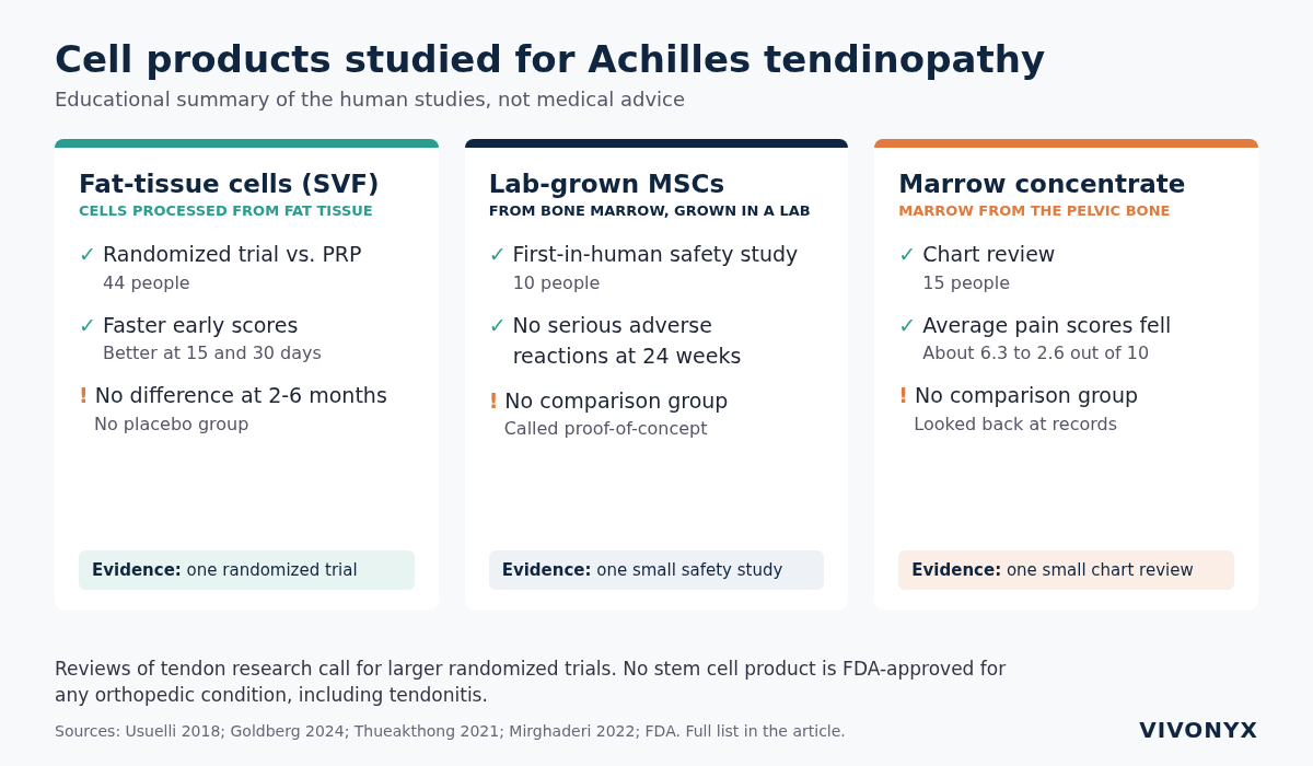 Educational diagram of three cell products studied for Achilles tendinopathy: fat-tissue cells (one randomized trial, 44 people, vs PRP), lab-grown MSCs (10 people, no comparison group), bone marrow concentrate (15 records, no comparison group).
