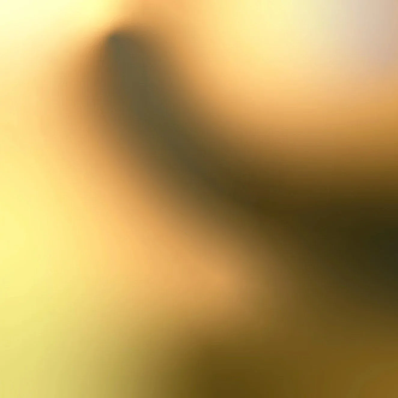 visaxslr-background-7974665_1920.jpg