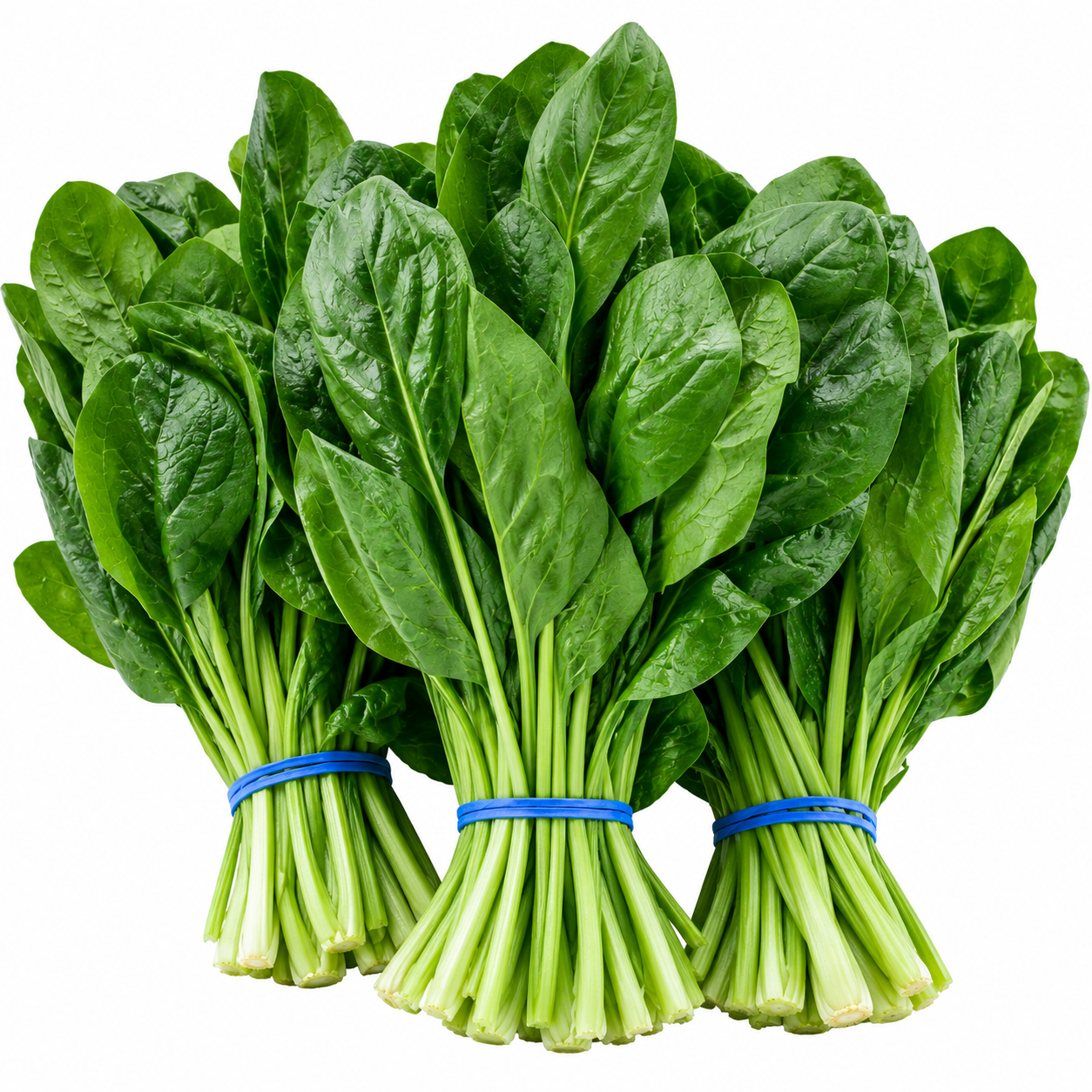 Headless Spinach