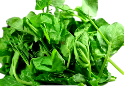 Dou Miao Snow Pea Tip