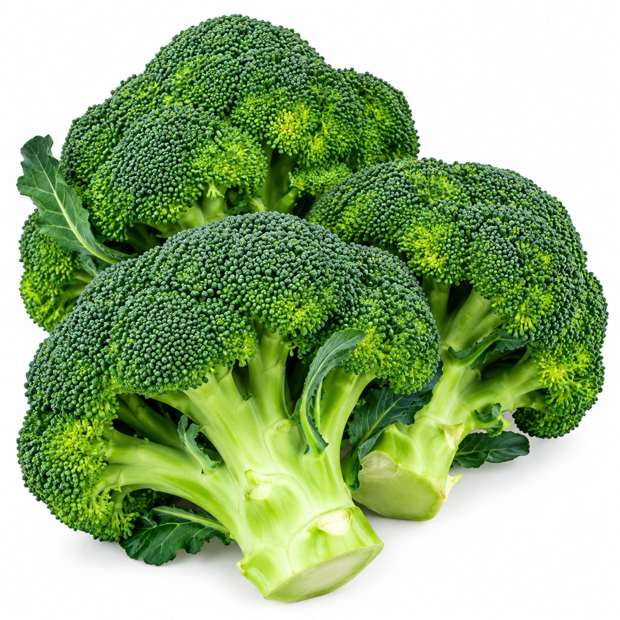 Broccoli Crown