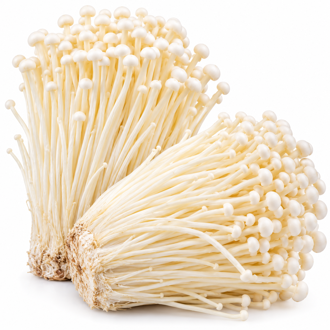 Enoki