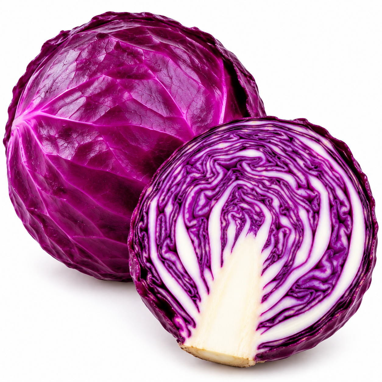 Red Cabbage