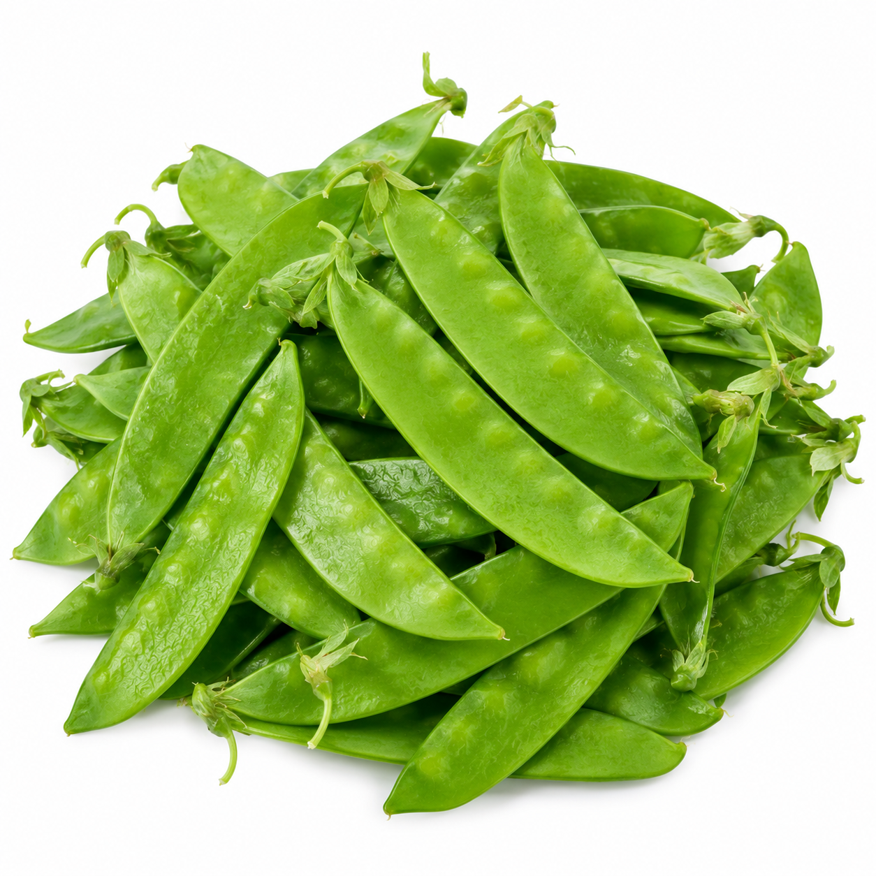 Snow Pea