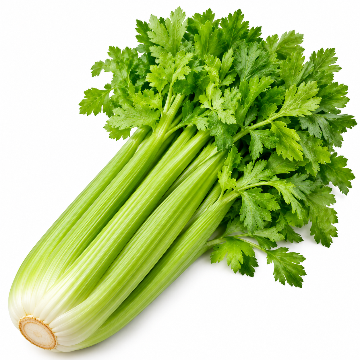 Celery
