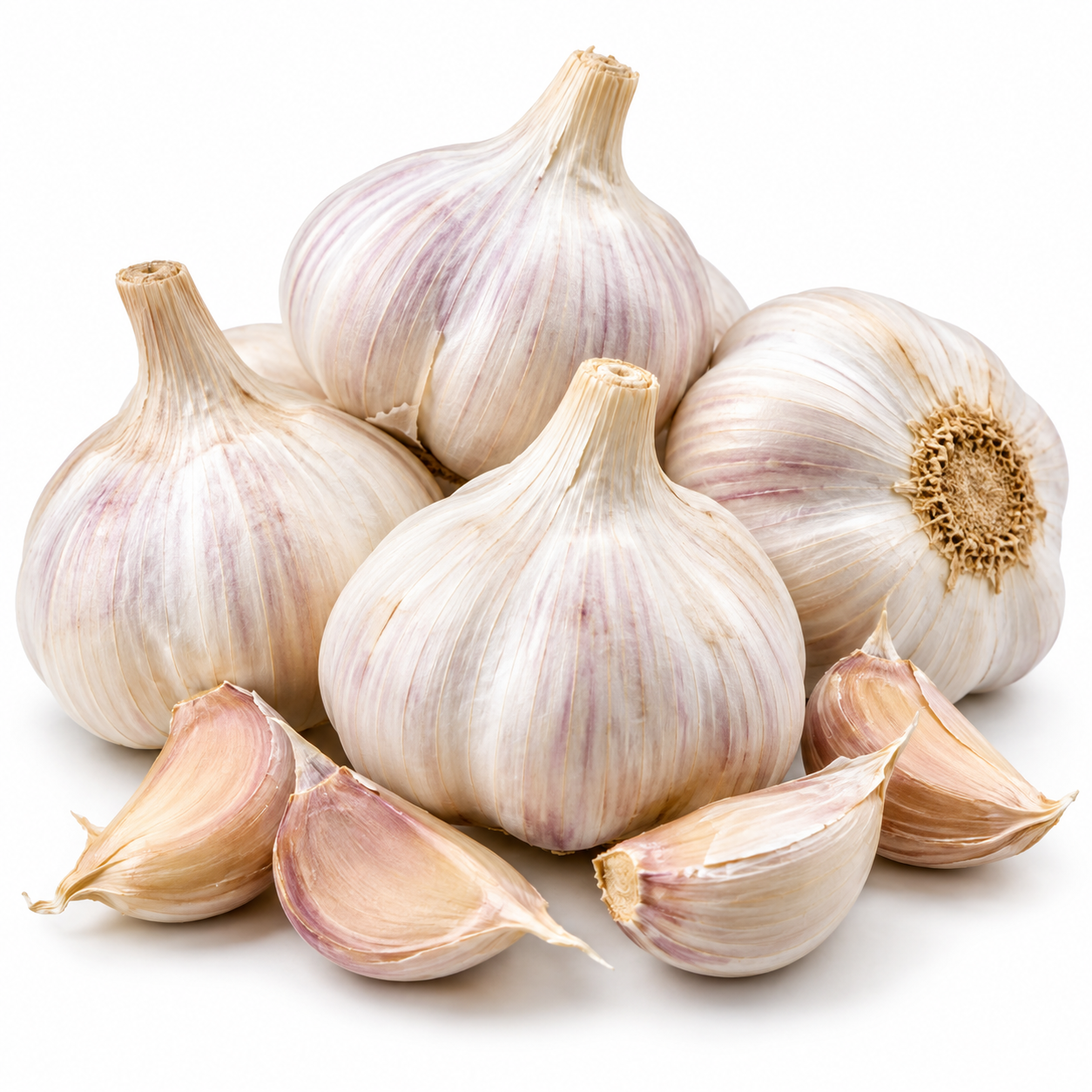 Garlic