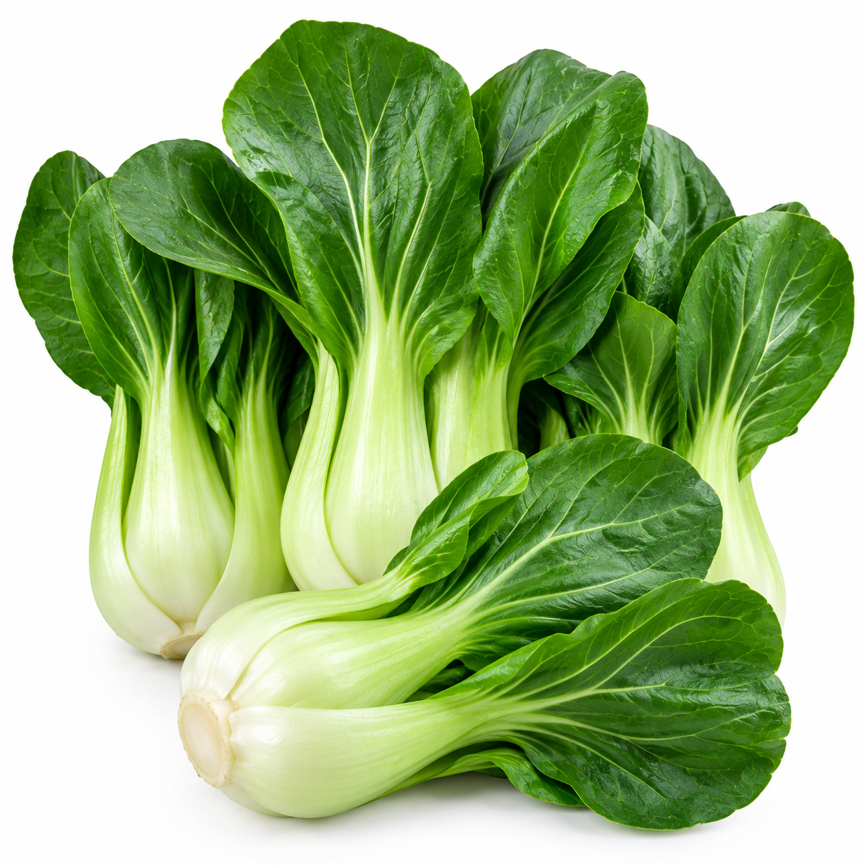 Shanghai Choy