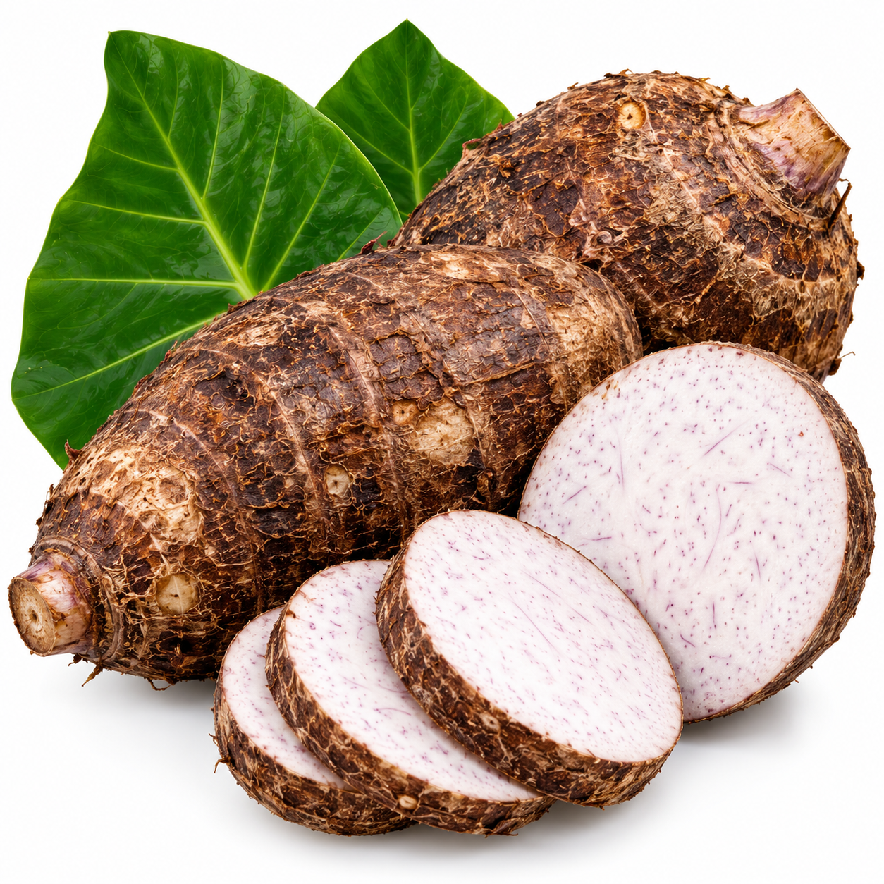Malanga Coco