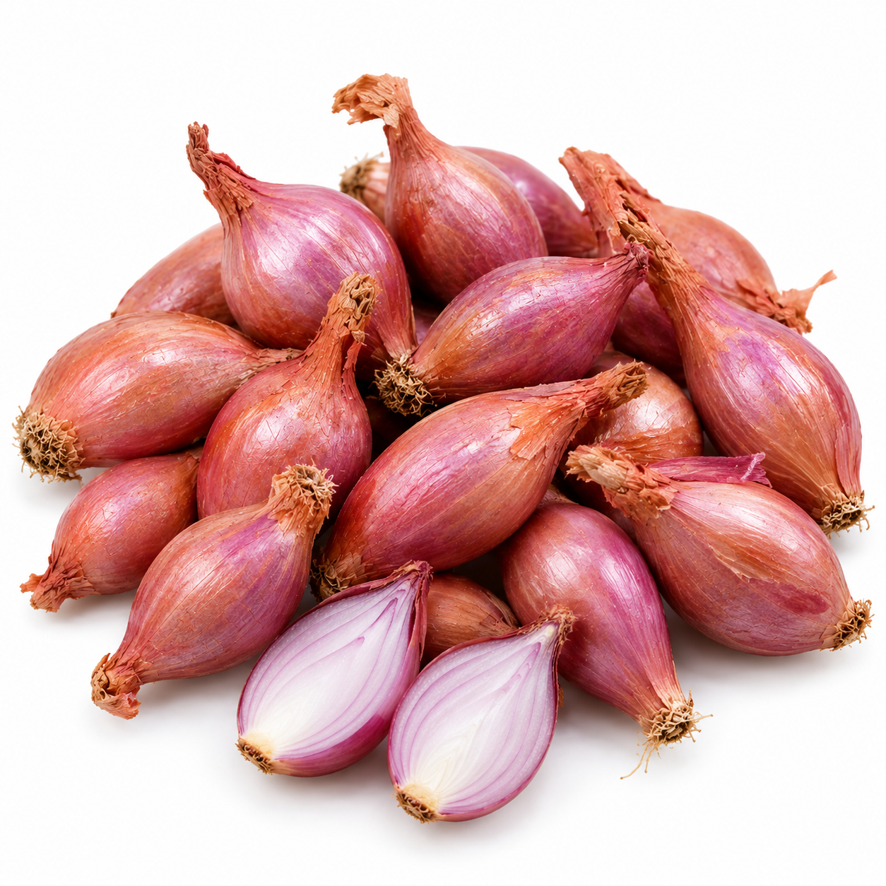 Shallot