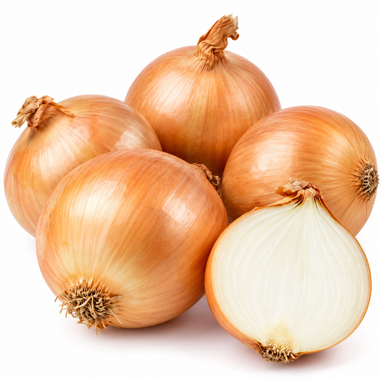 Spanish Onion