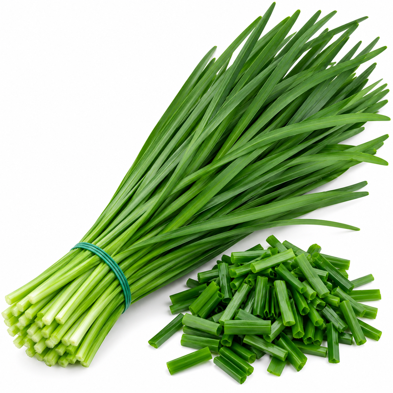 Chive