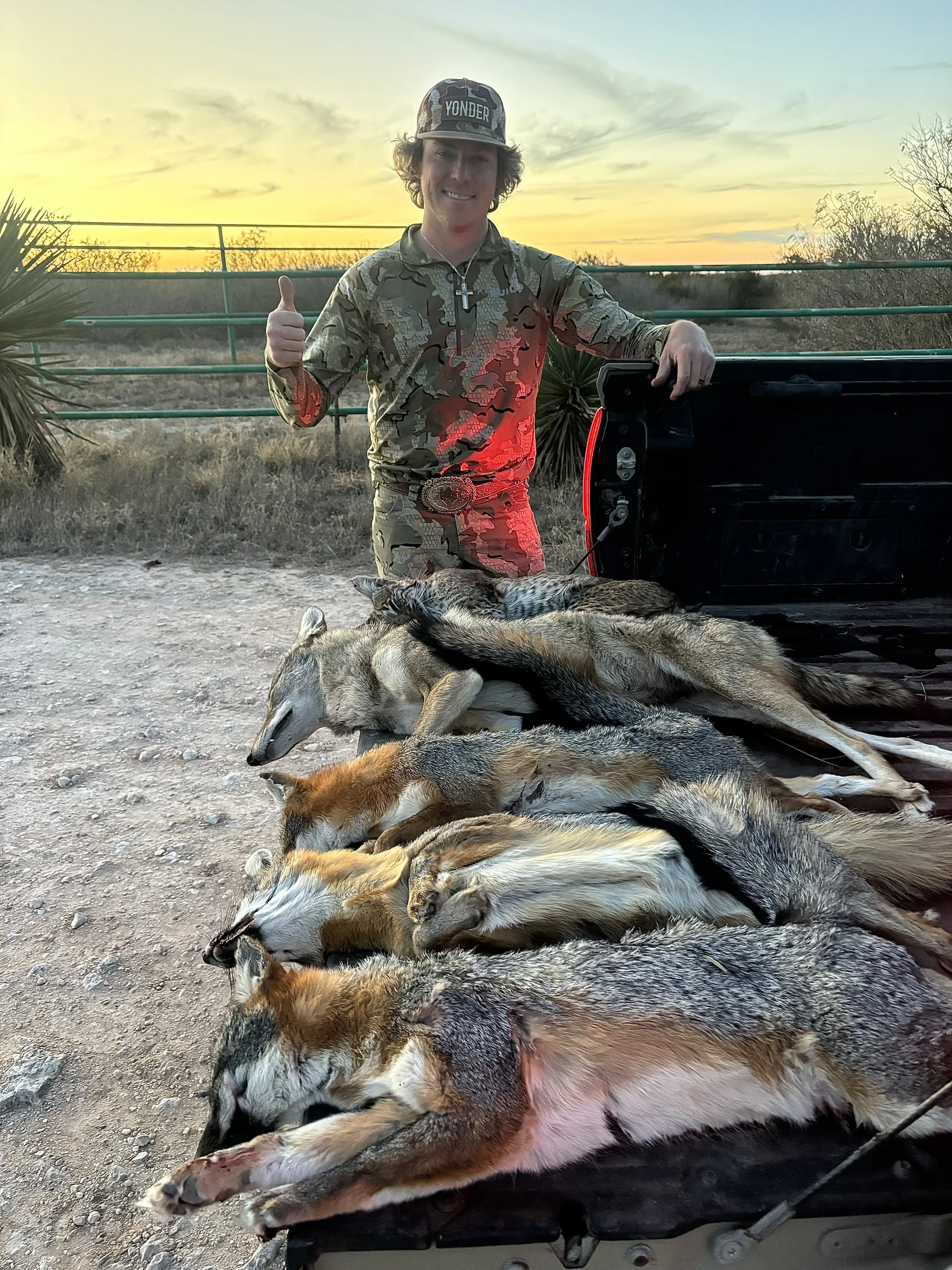 A young man in camouflage clothing and a cap giving a thumbs-up, standing next to a bed of dead wolves and coyotes at sunset.