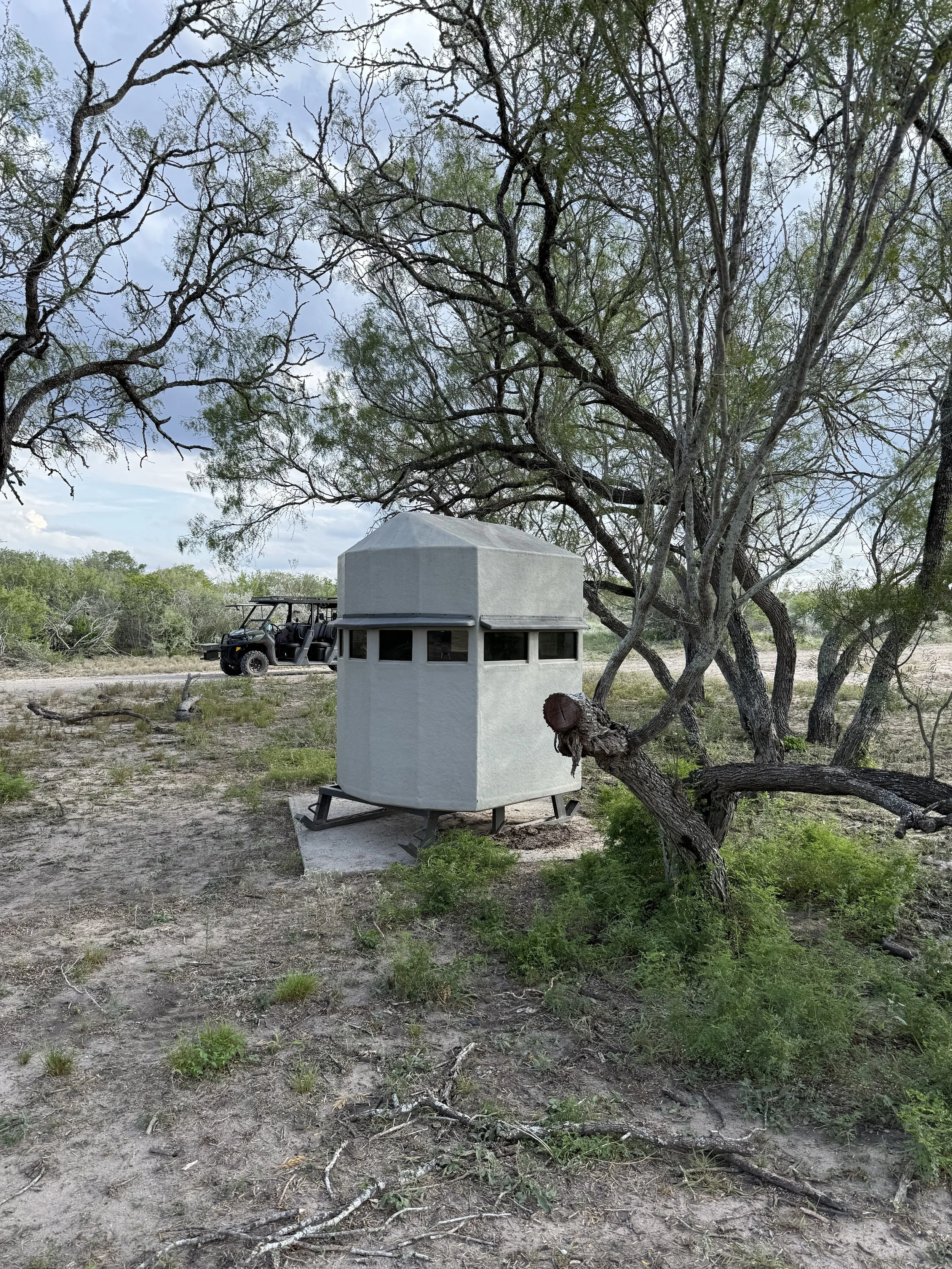 Open outdoor space with a large tree, a small concrete structure, and a golf cart parked in the background.