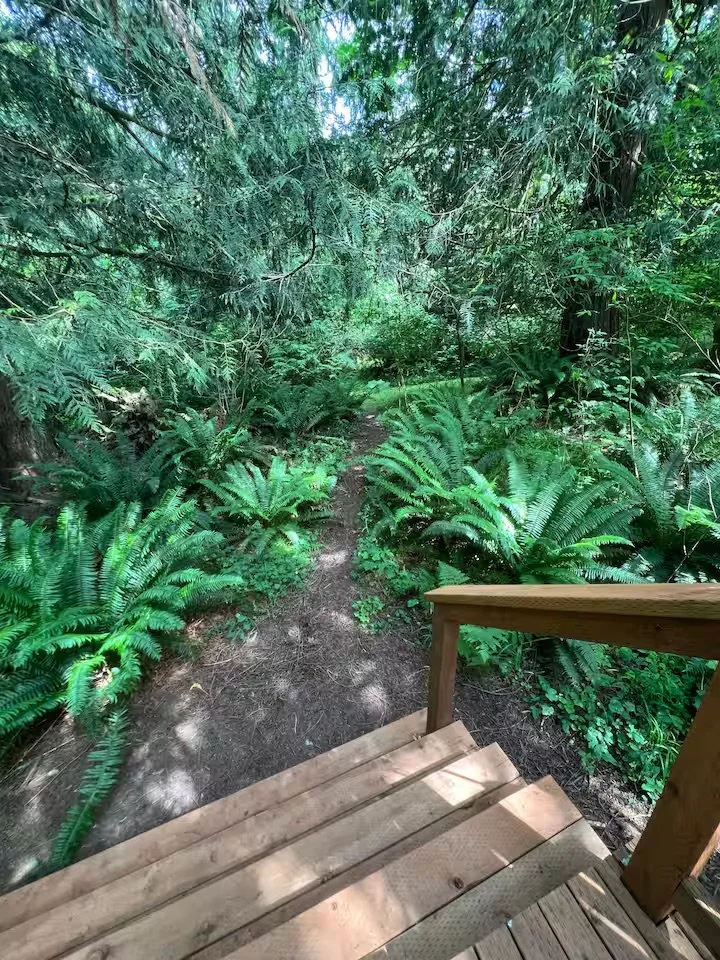 Stairs leading right to one of the nature trails on the property.