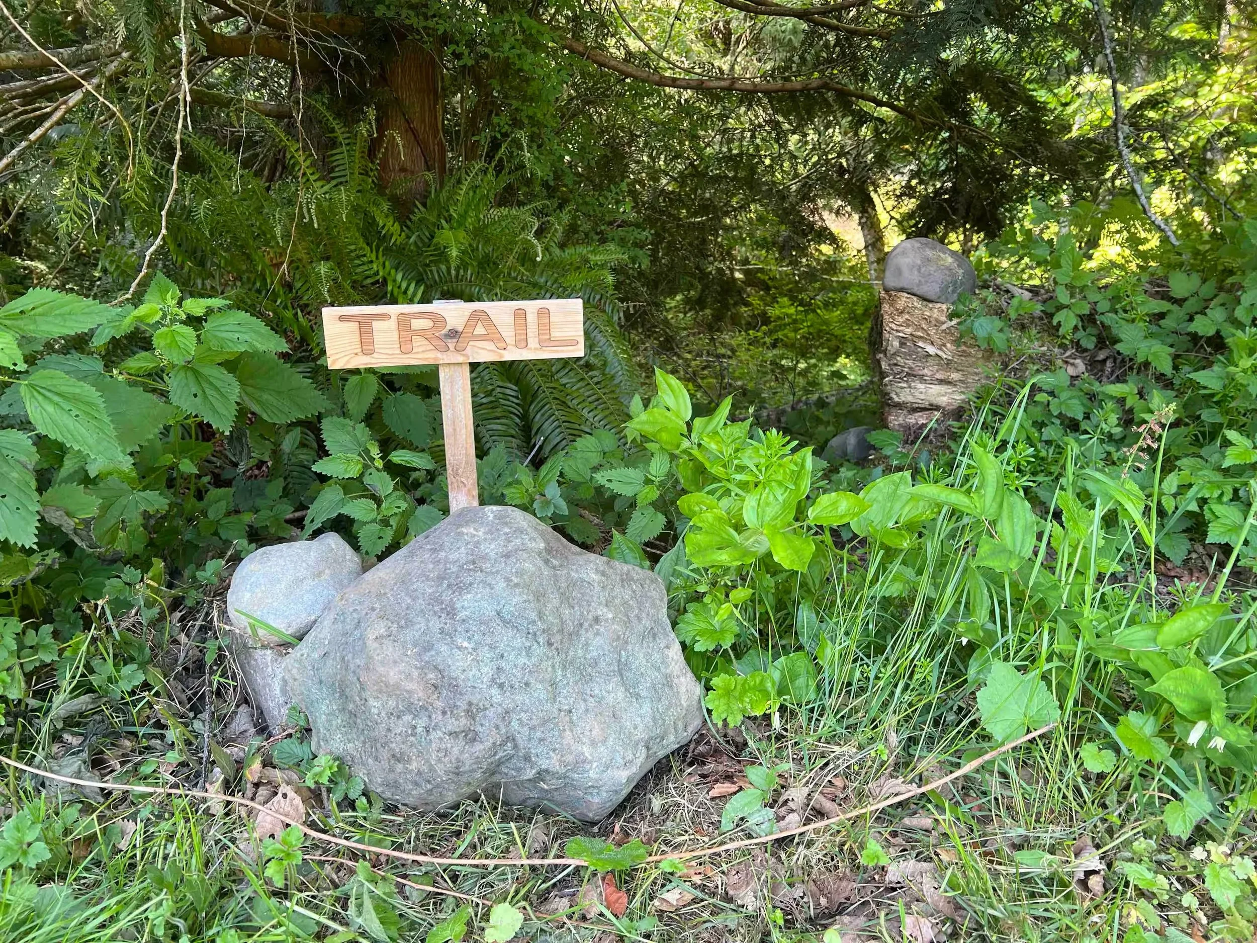 trail.jpg