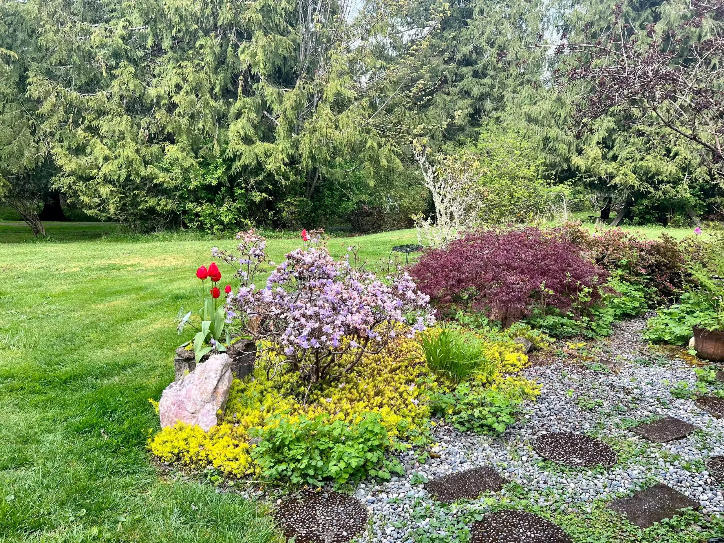 garden 1.jpg
