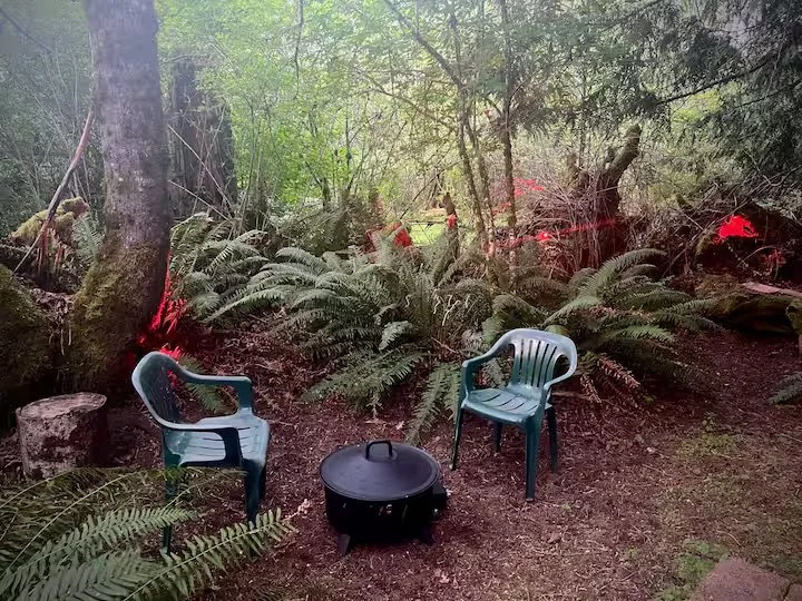 Cozy, quiet, and great for a s'mores roast.