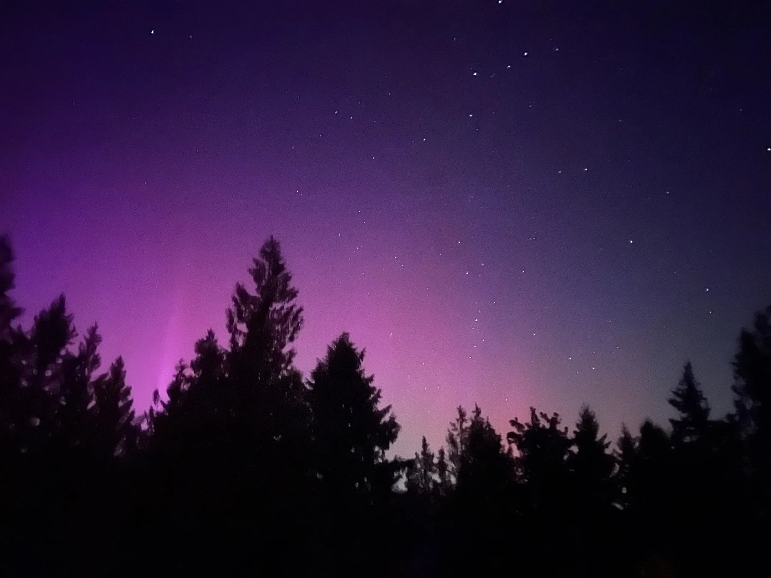 aurora 1.jpg