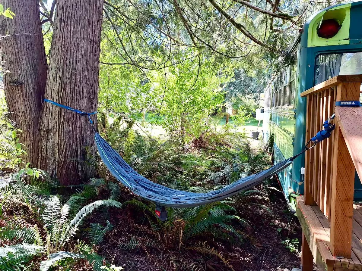 Just the spot for a mid-day nap.