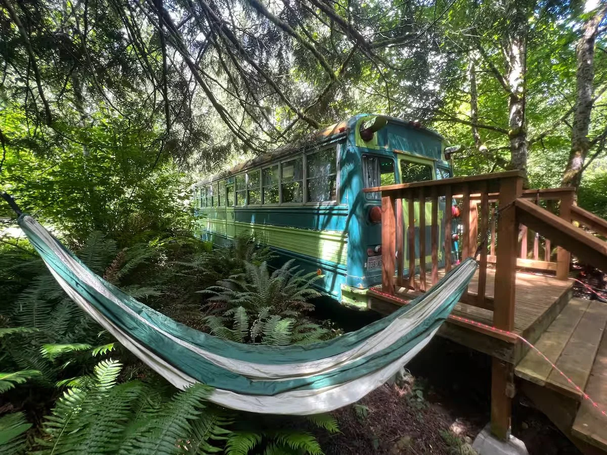 Stop... hammock time! 