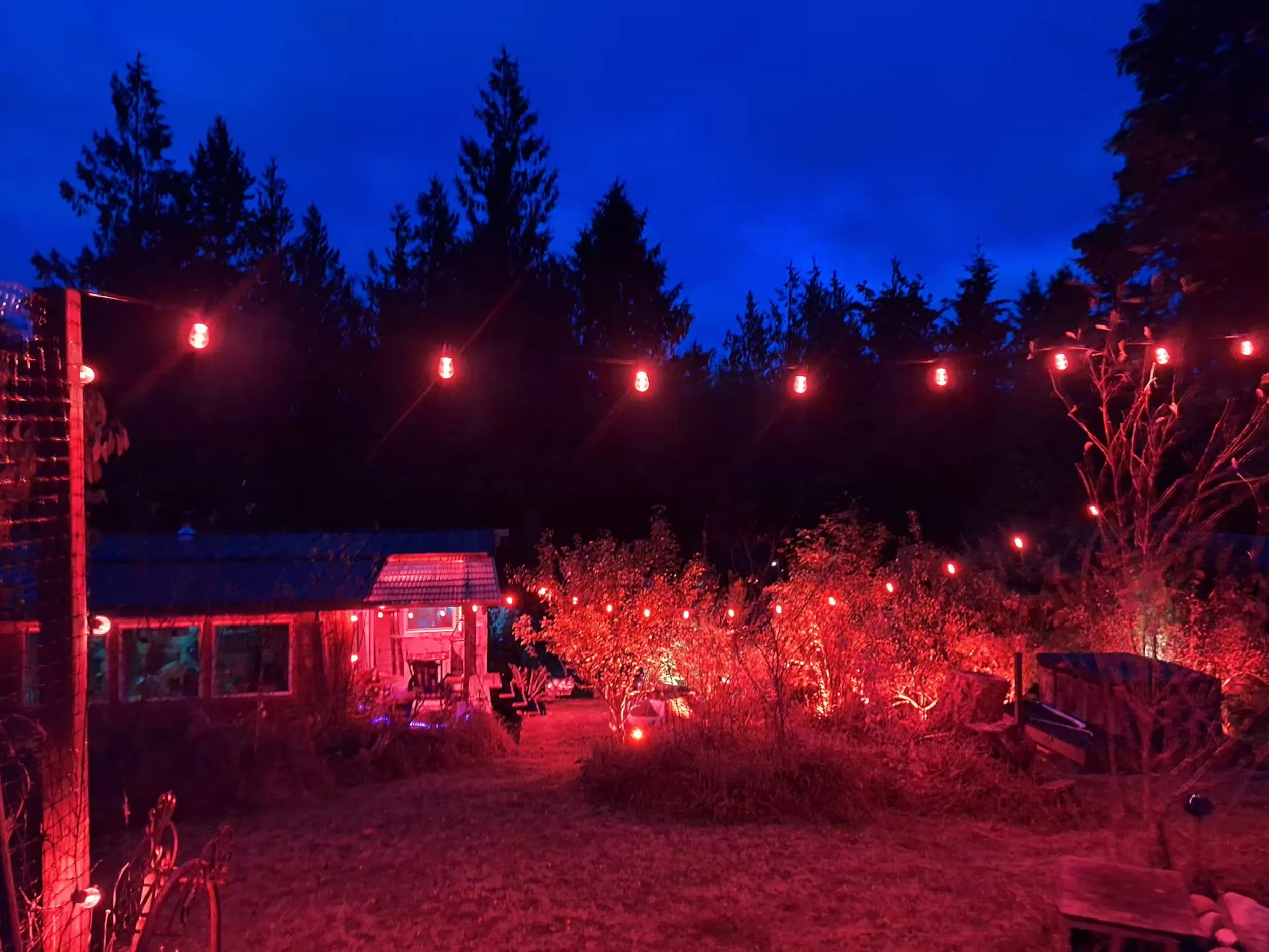 Some nighttime ambiance.