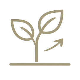 Simple line drawing of a young plant with two leaves and an arrow pointing to the right.
