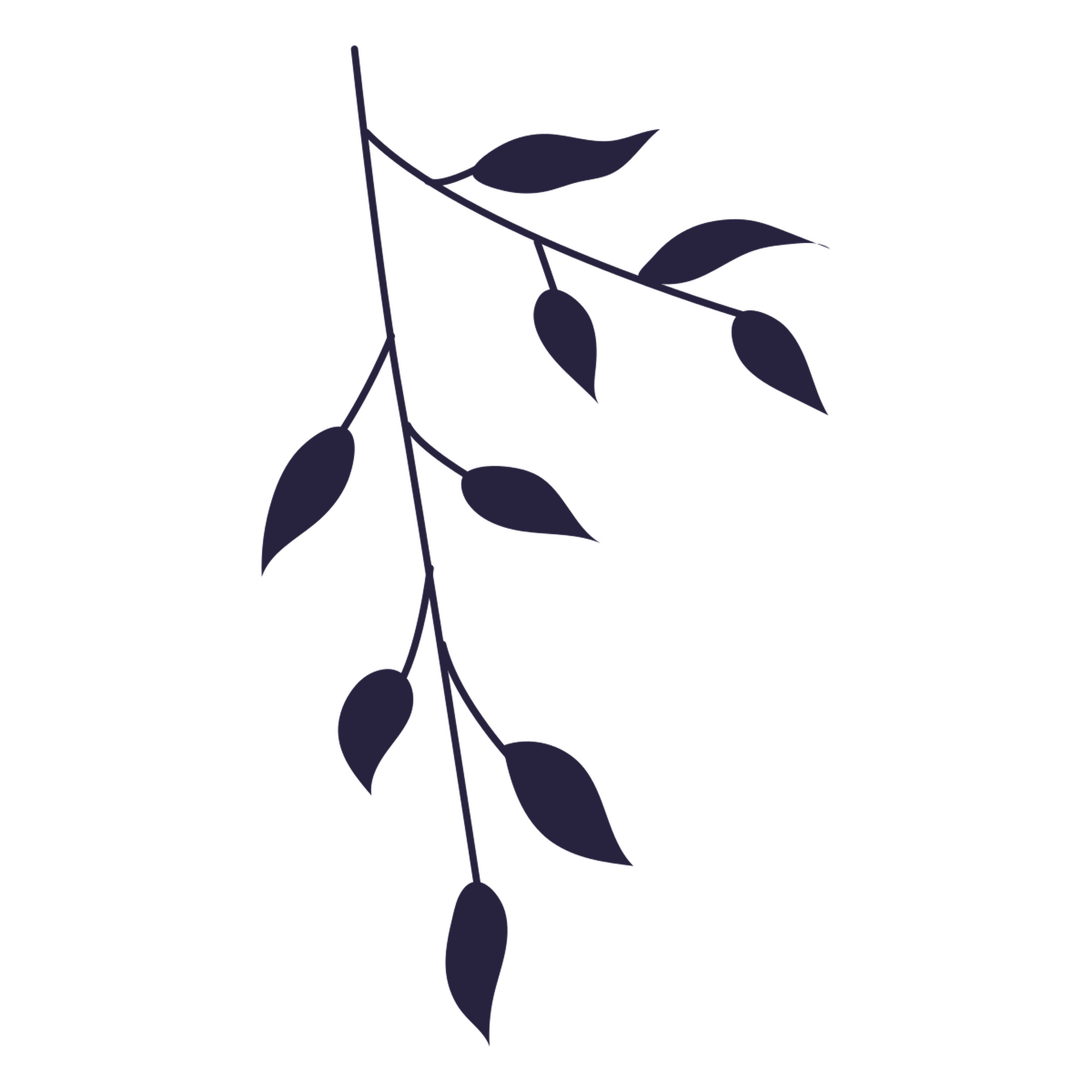 A dark purple branch with oval leaves and round berries on a black background.