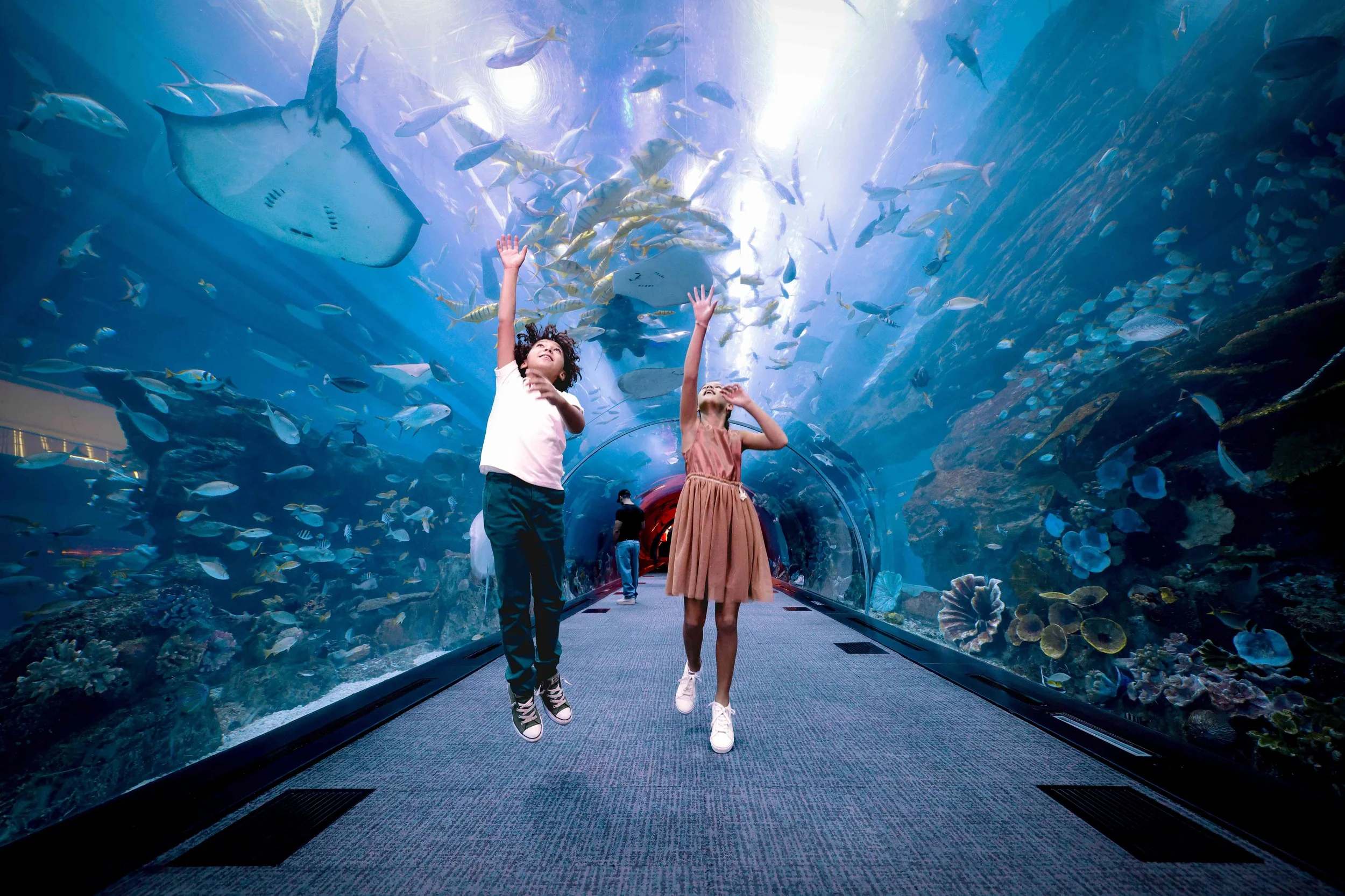 Dubai Summer Surprises