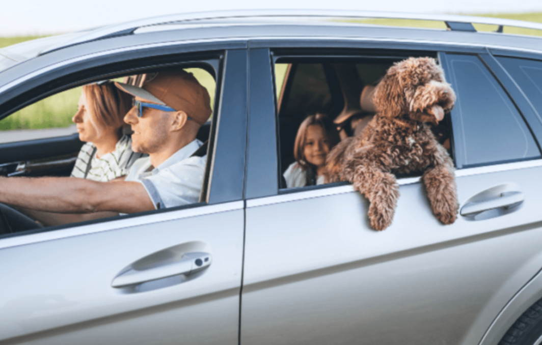 The Family-Friendly SUV Test