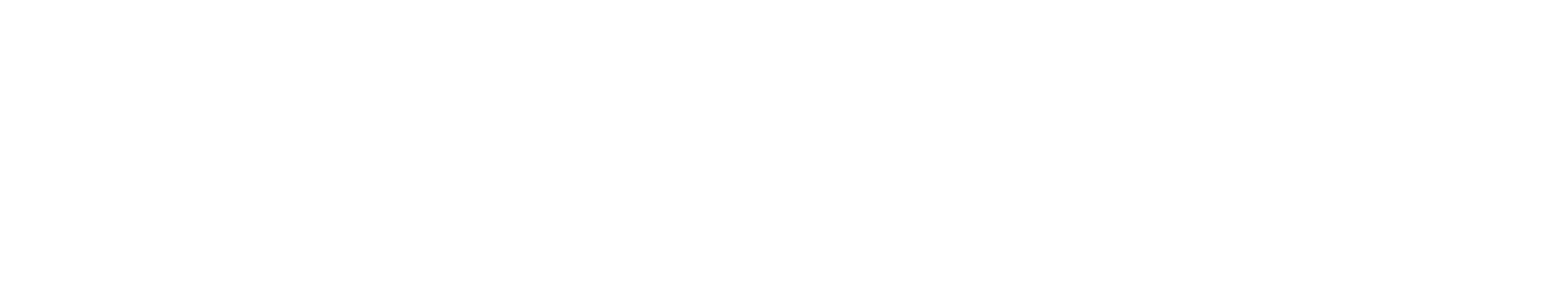 The logo for Parenthood Plus, with stylized white text on a transparent background.