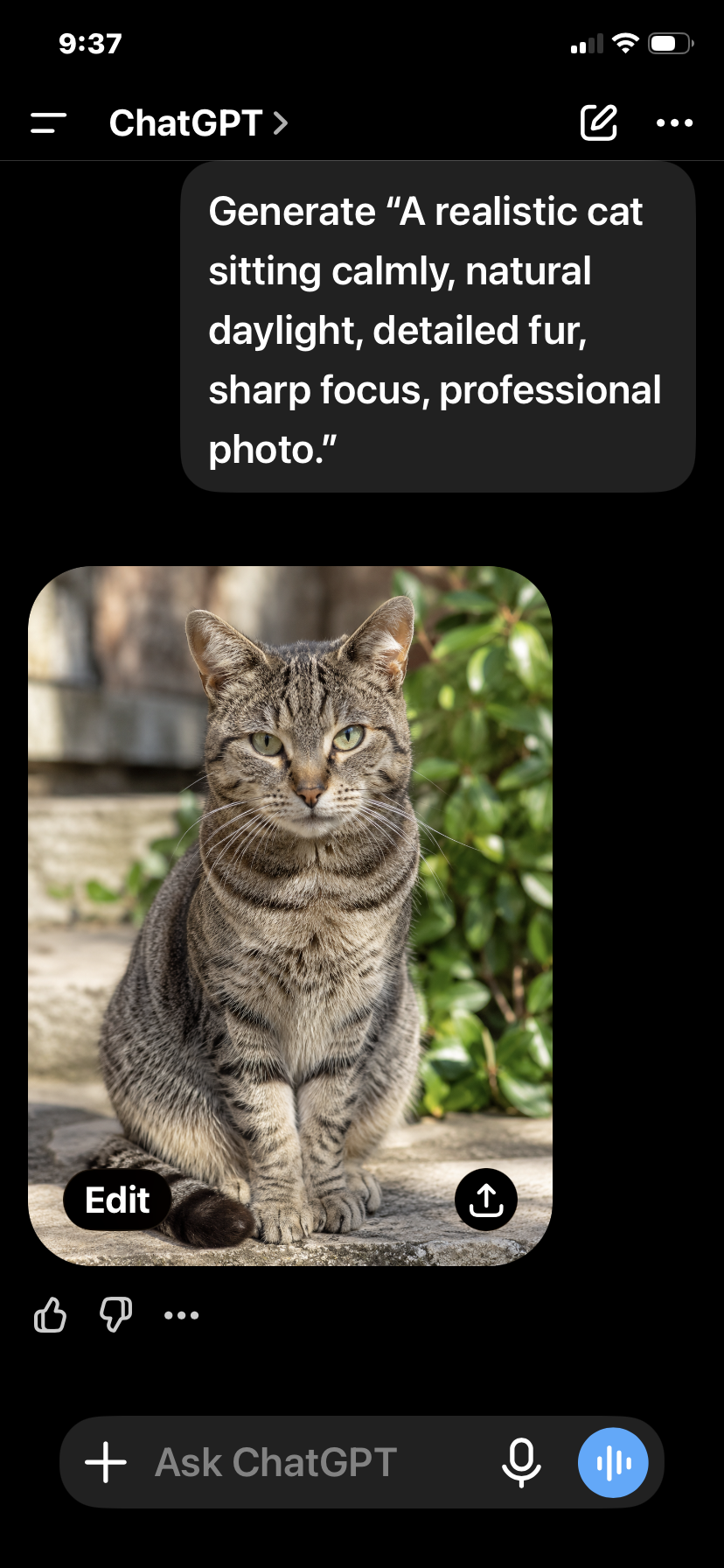 A realistic tabby cat sitting calmly outdoors, with green foliage and a stone structure in the background, captured in daylight with sharp focus.