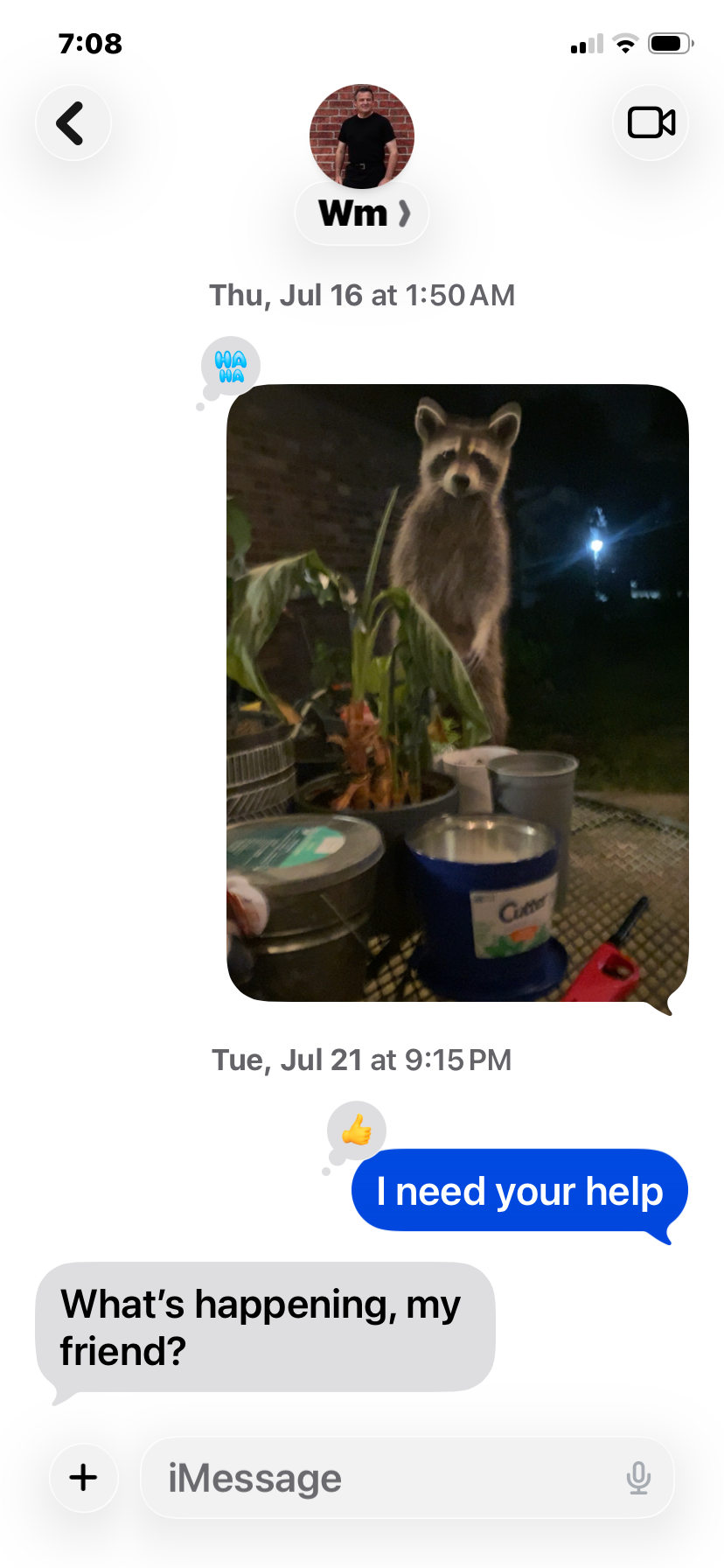 A raccoon standing outside at night behind potted plants and containers, illuminated by moonlight with a dark sky in the background.