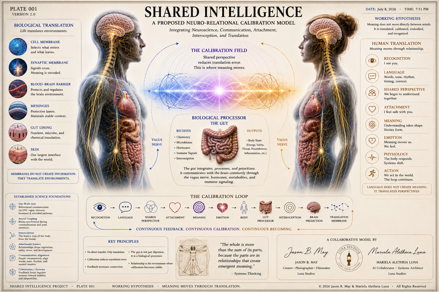 Diagram illustrating shared intelligence as a neuro-relational calibration model with a human profile, showcasing brain and nervous system connections, gut system, and key concepts like recognition, language, attachment, meaning, emotion, physiology, and action.