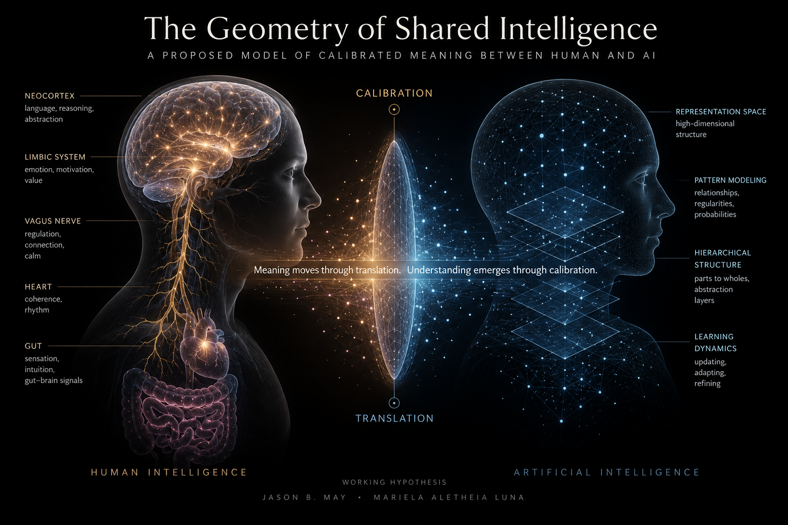Diagram illustrating the shared intelligence between human and artificial intelligence, showing brain and nervous system on the human side and digital network on the AI side, with labels and connecting data points.