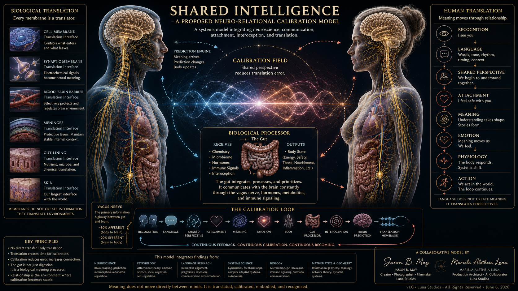 An infographic titled "Shared Intelligence" depicts a proposed neuro-relational calibration model involving human and biological processes, including visual diagrams of brain, gut, nerves, and various system interactions, with descriptions of translation, recognition, language, attachment, emotion, and other psychological and physiological elements.