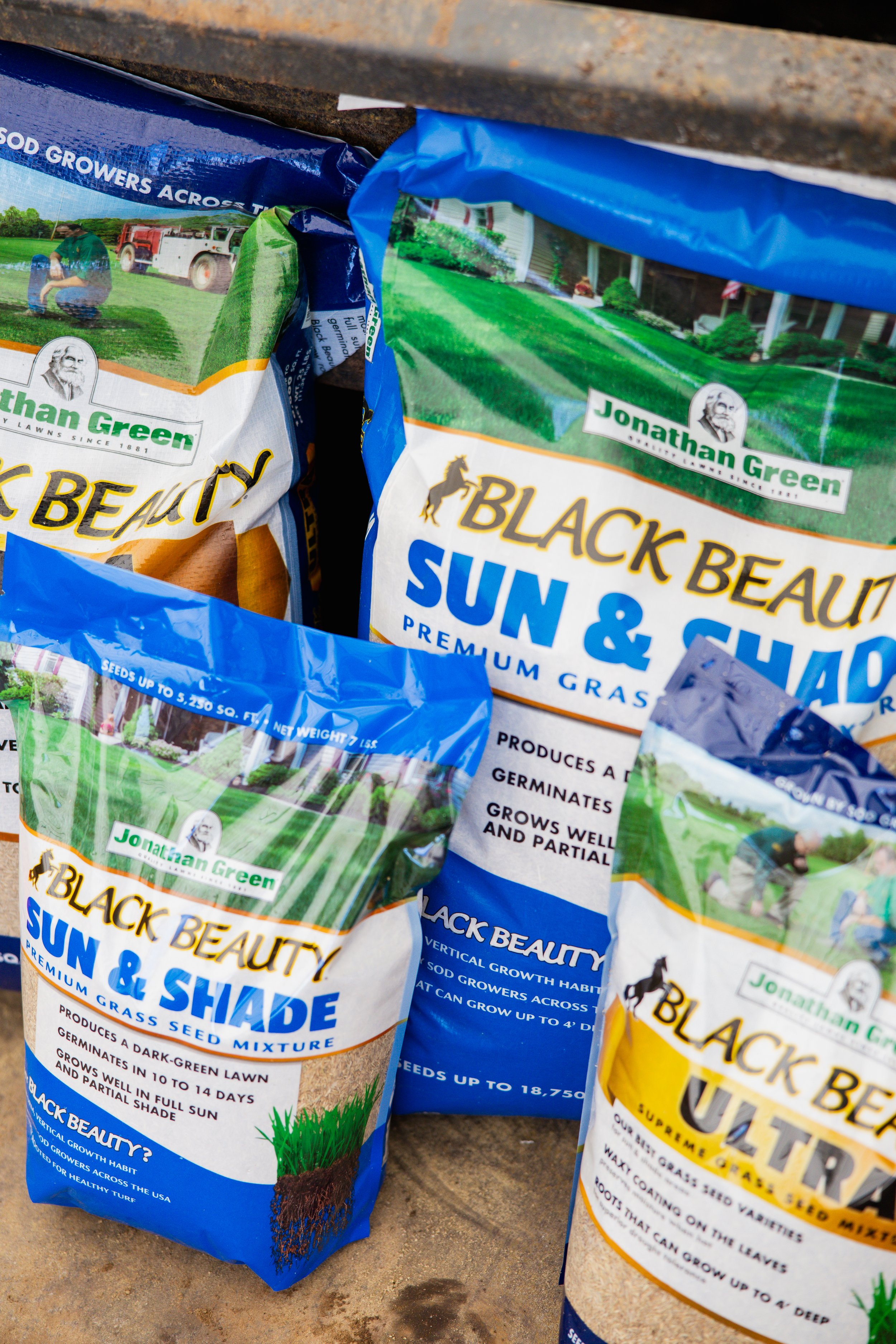 Packages of Black Beauty Sun & Shade grass seed mixture on a concrete surface.