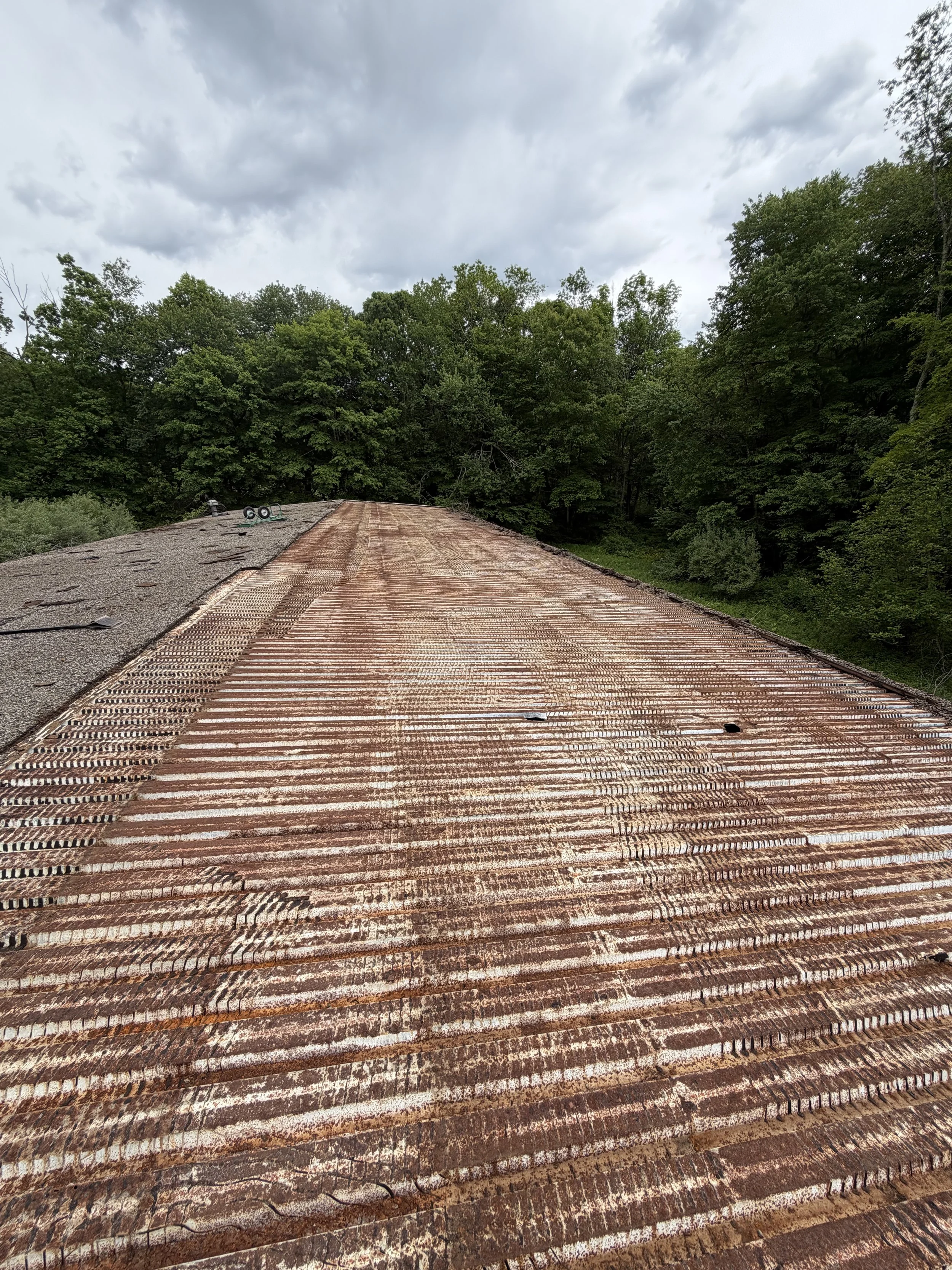 View from a rooftop showing rusted metal roofing with some damaged and missing sections, and a dense green forest in the background under a cloudy sky.