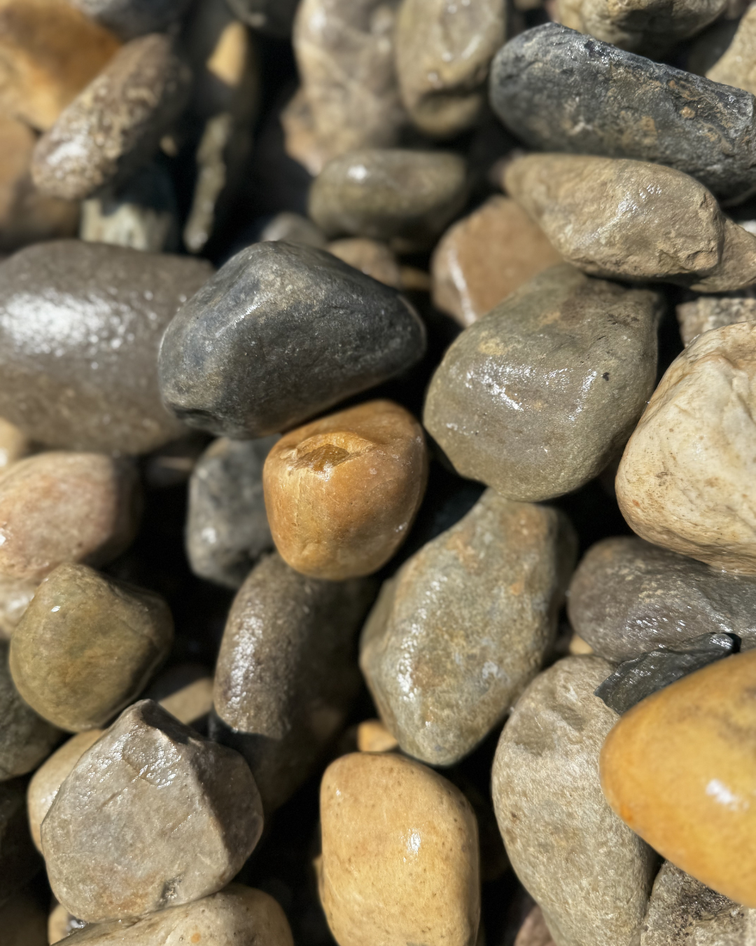 Close-up of various small, smooth, wet pebbles and stones of different colors.