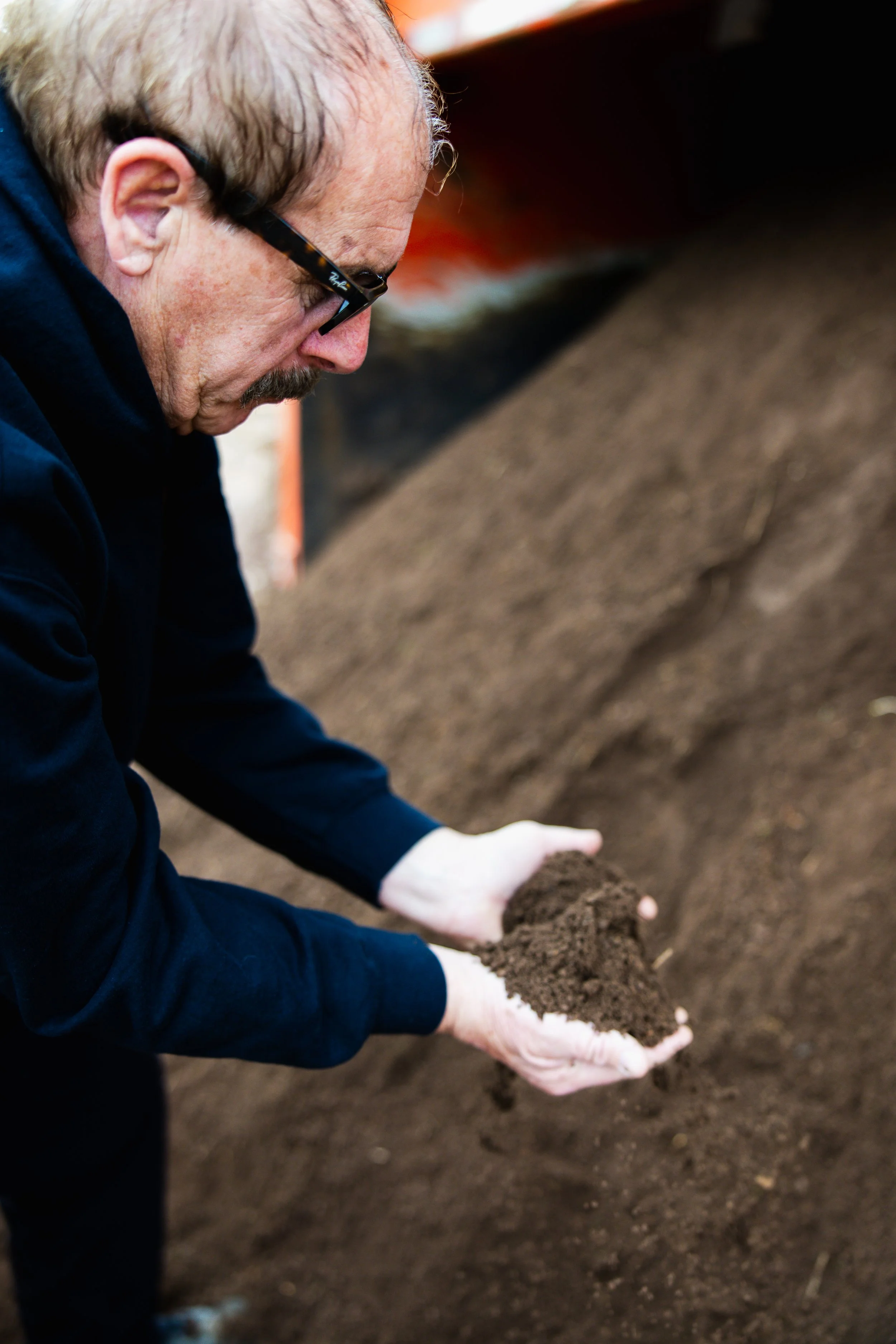 A person in a dark shirt and white gloves is planting a small seedling into the soil, with their face focused downward and wearing glasses.