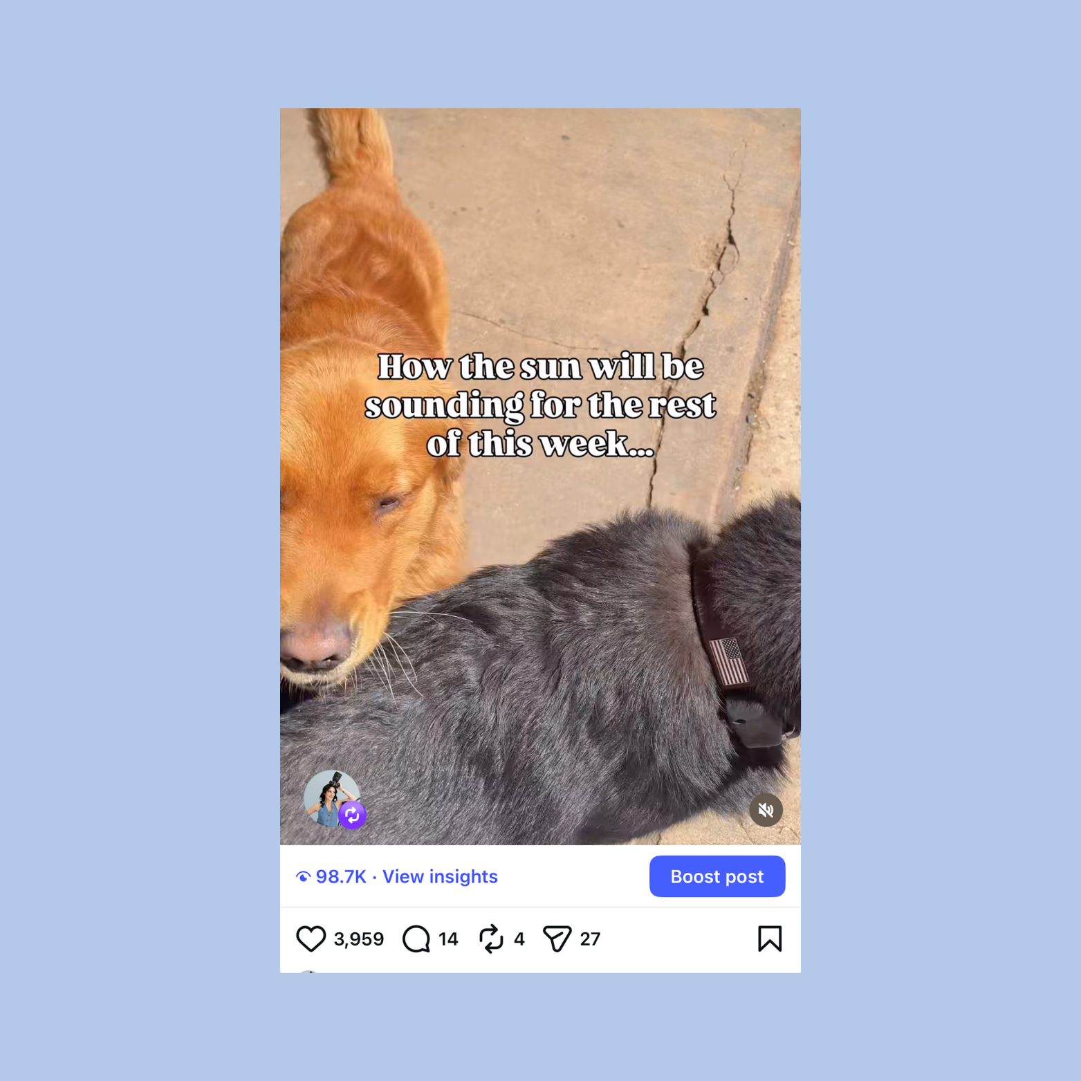 A social media post showing two dogs on a concrete surface, one golden and the other dark gray with a collar. The overlay text reads, "How the sun will be sounding for the rest of this week..."