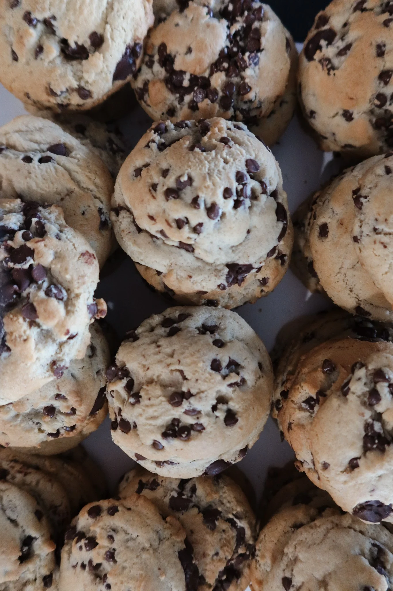 The Chocolate Chip