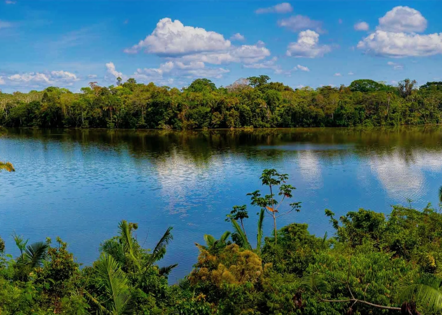 Terreno Tambopata Puerto Maldonado Perú