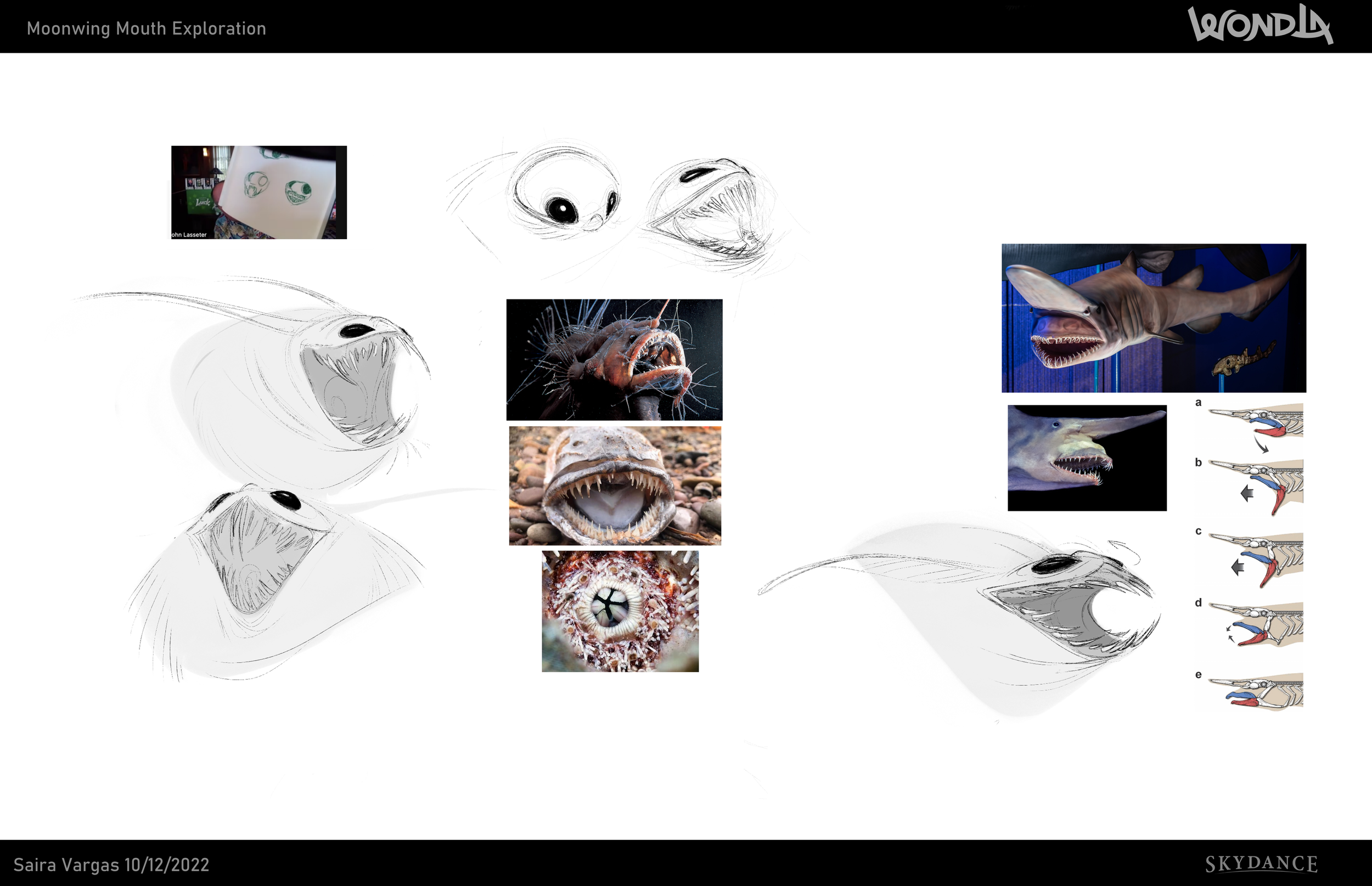 WDL_Moonwing_MouthDesignExploration_SV_10122022.png