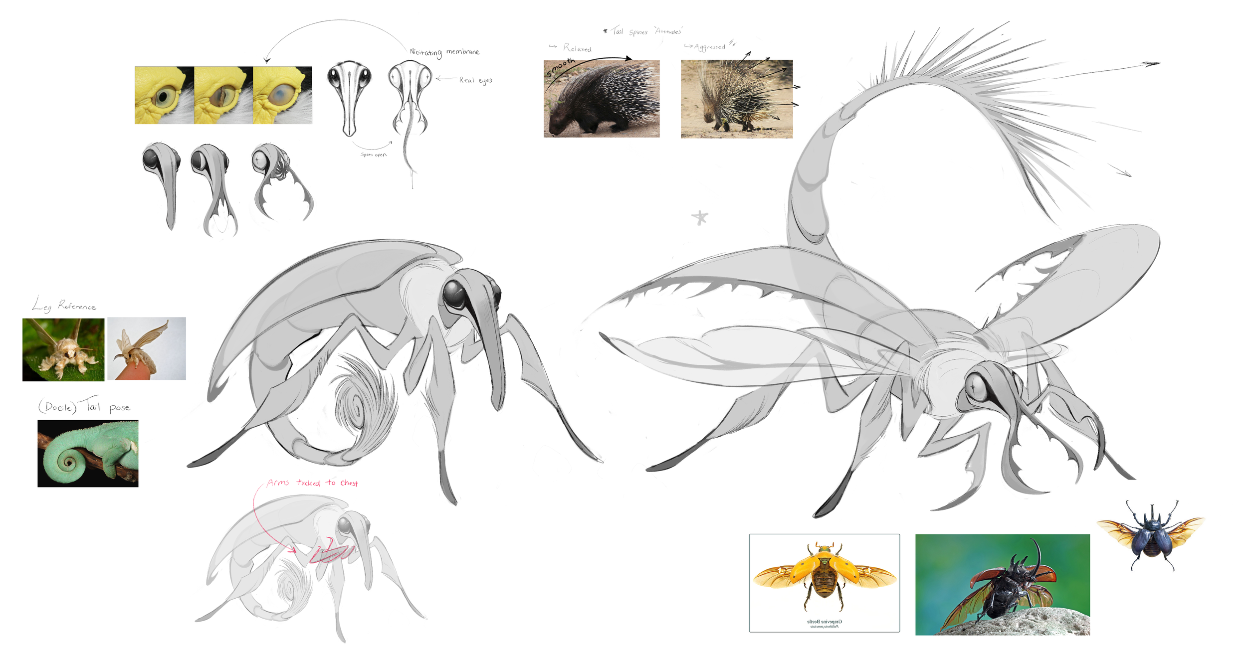 07082022 razorwing revisions.png