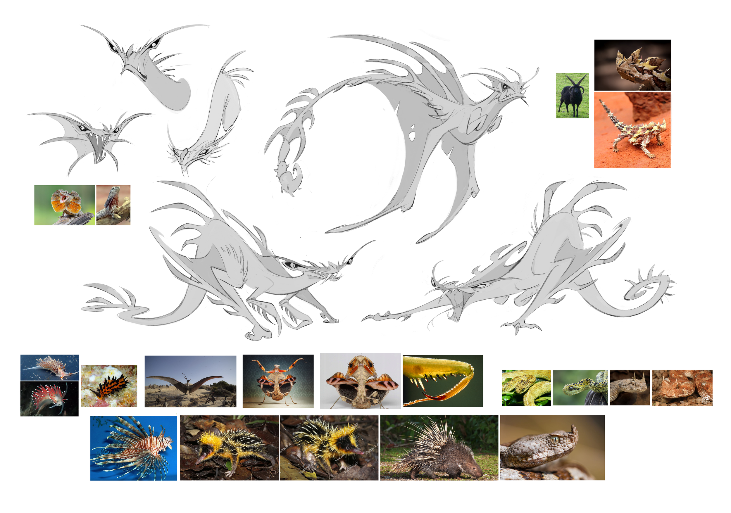 razorwing sketches .png