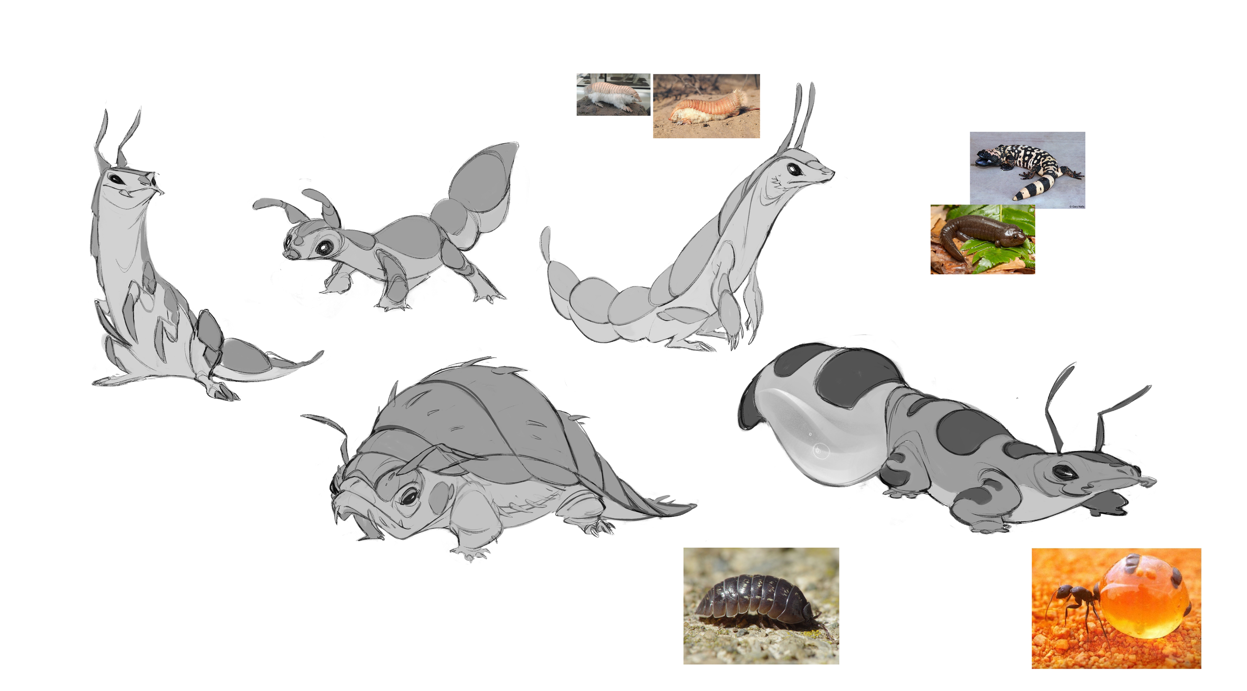 Lizard Ant.png
