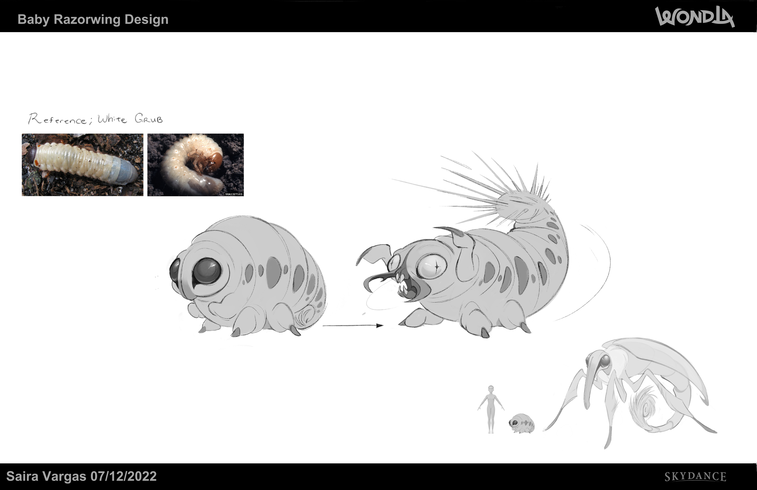 WDL_BabyRazorWingDesign_SV_07122022.png